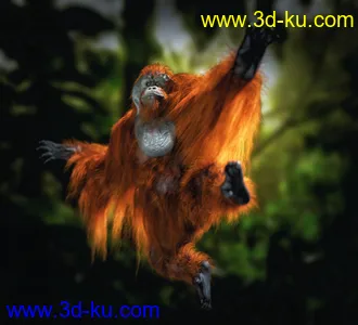 3D打印模型Anthropomorphs - Orangutan for Genesis 8 Male的图片
