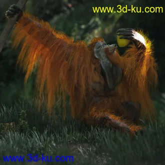 3D打印模型Anthropomorphs - Orangutan for Genesis 8 Male的图片