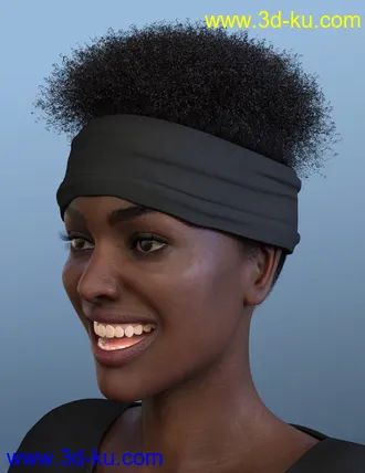 3D打印模型Artisan Hair for Genesis 8 Females的图片