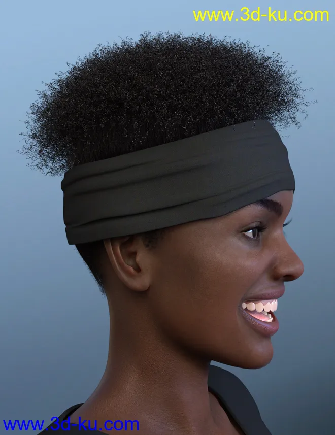 Artisan Hair for Genesis 8 Females模型的图片2