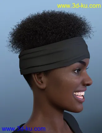 3D打印模型Artisan Hair for Genesis 8 Females的图片