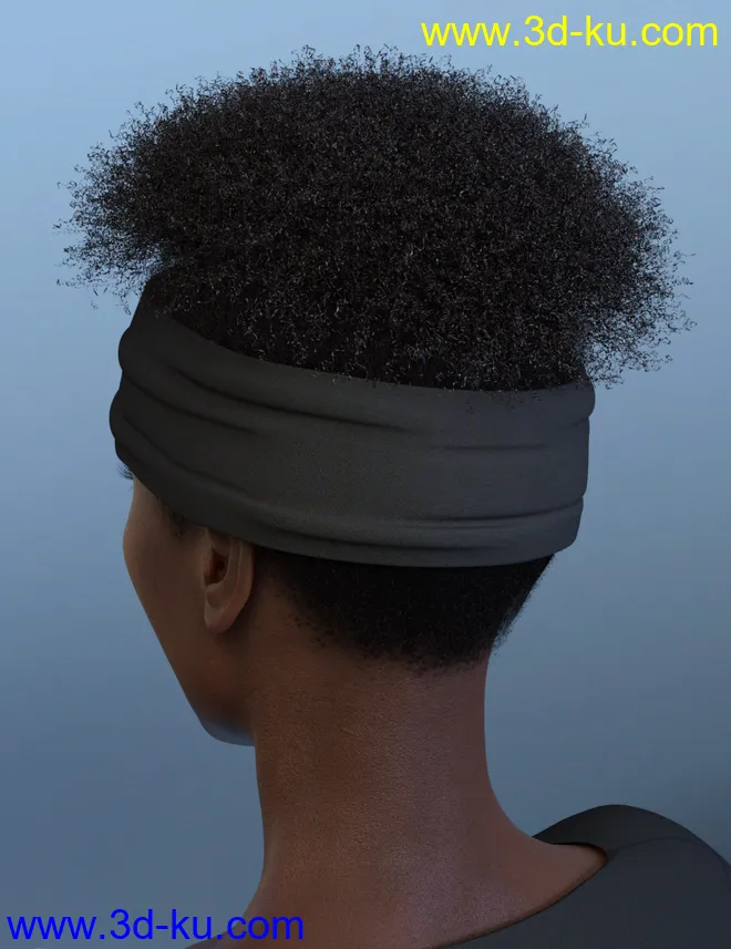 Artisan Hair for Genesis 8 Females模型的图片3