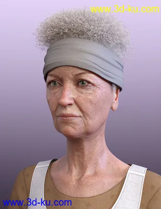 3D打印模型Artisan Hair for Genesis 8 Females的图片