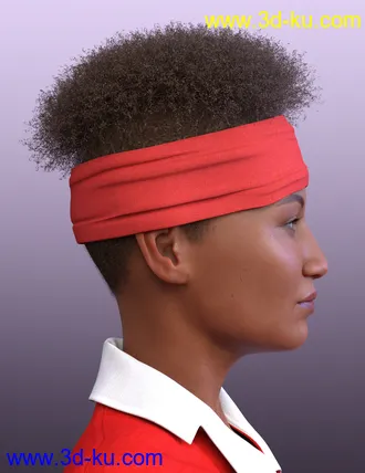 3D打印模型Artisan Hair for Genesis 8 Females的图片