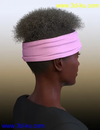 3D打印模型Artisan Hair for Genesis 8 Females的图片