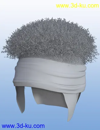 3D打印模型Artisan Hair for Genesis 8 Females的图片