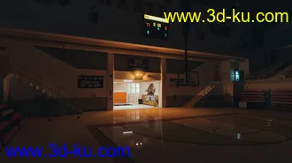3D打印模型Basketball Gym的图片