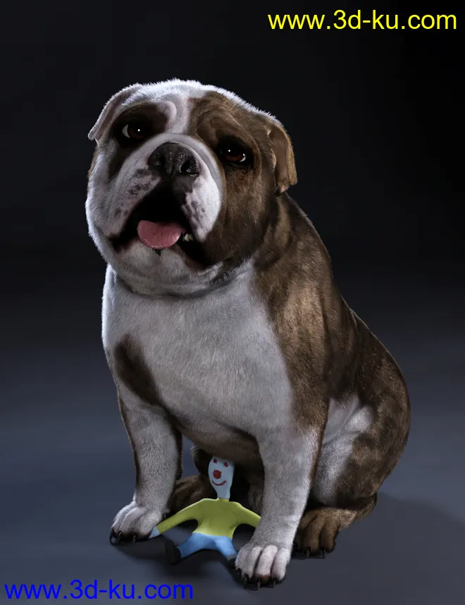 Baxter the English Bulldog for Dog 8模型的图片1