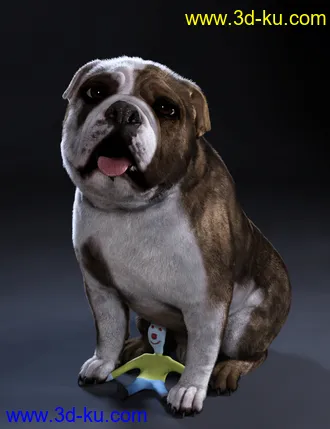 3D打印模型Baxter the English Bulldog for Dog 8的图片