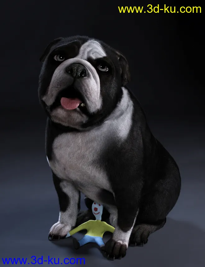 Baxter the English Bulldog for Dog 8模型的图片2