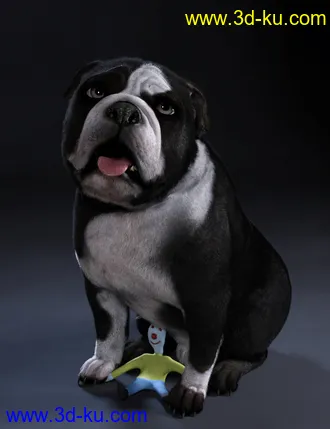 3D打印模型Baxter the English Bulldog for Dog 8的图片