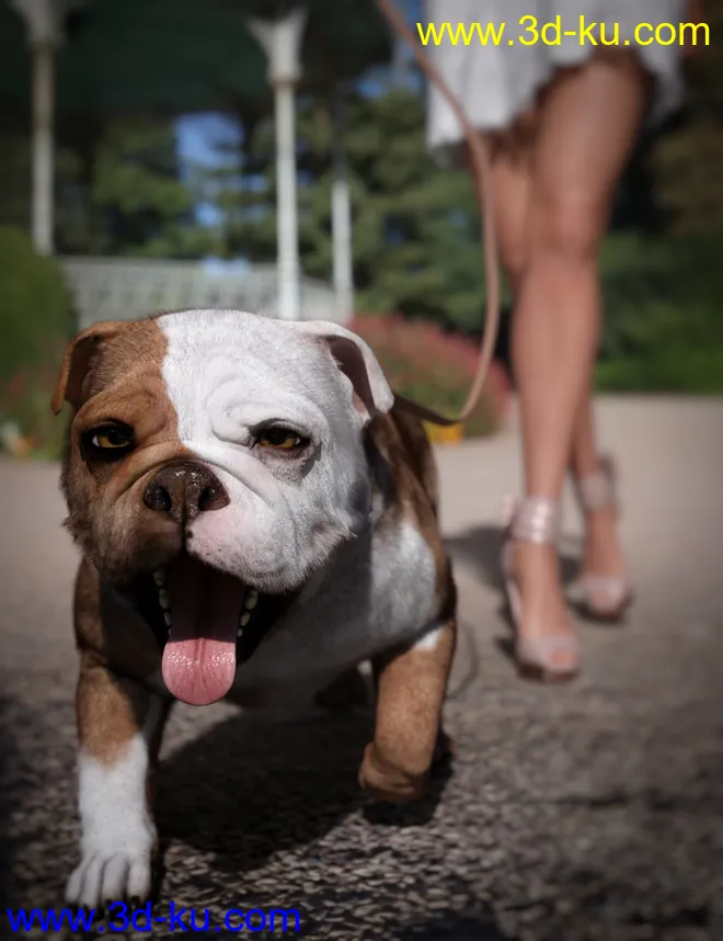 Baxter the English Bulldog for Dog 8模型的图片3