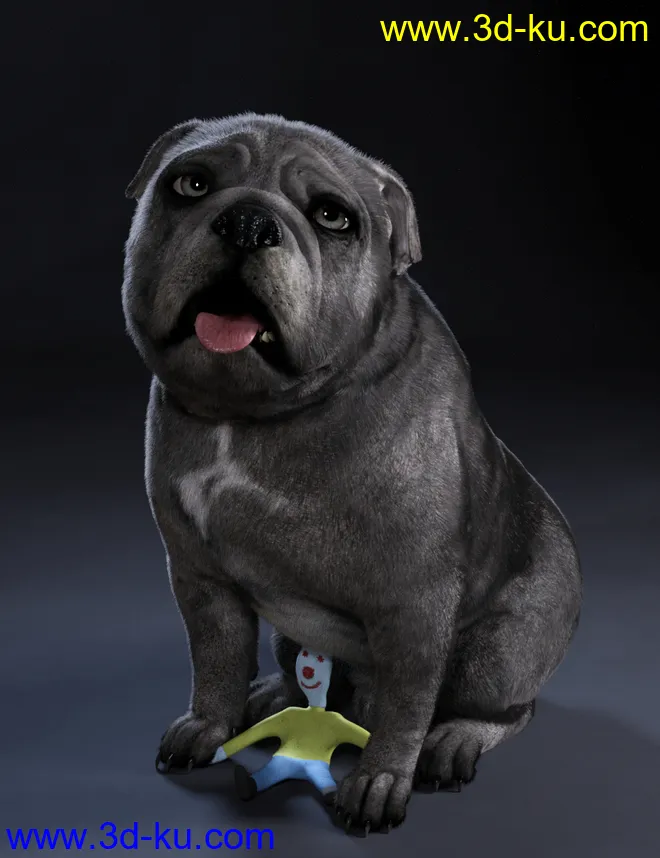 Baxter the English Bulldog for Dog 8模型的图片6