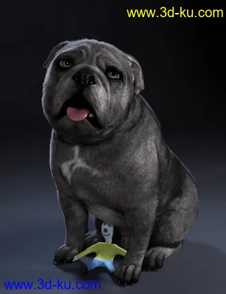 3D打印模型Baxter the English Bulldog for Dog 8的图片