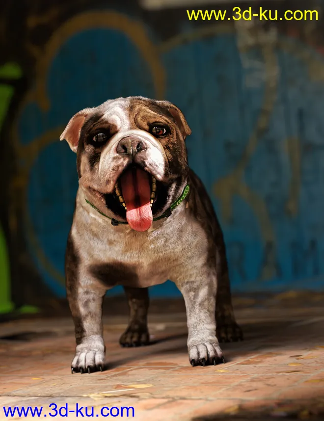 Baxter the English Bulldog for Dog 8模型的图片7