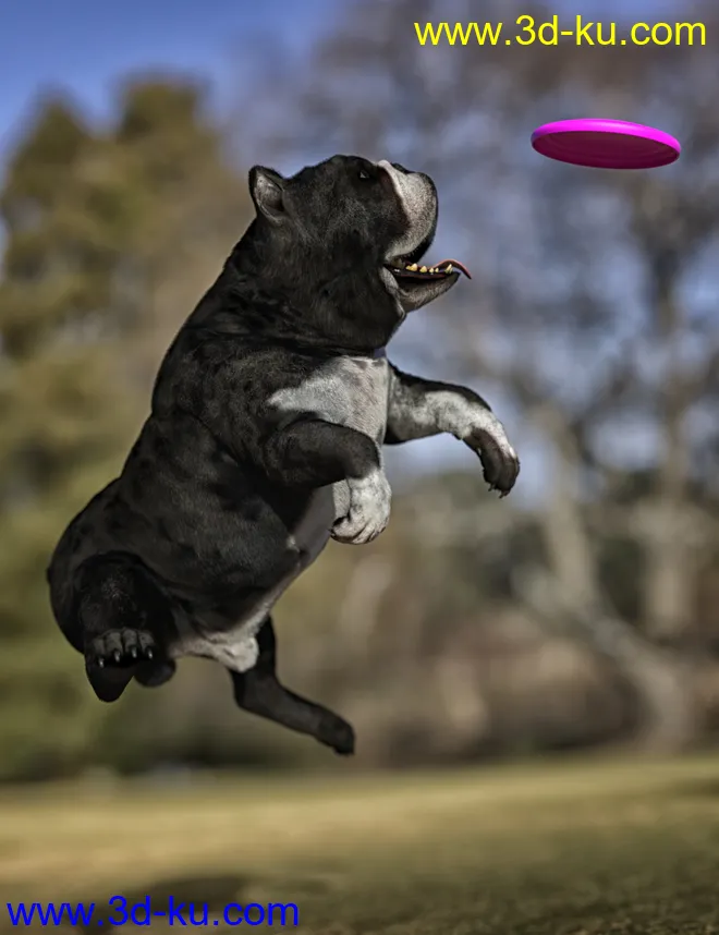 Baxter the English Bulldog for Dog 8模型的图片8