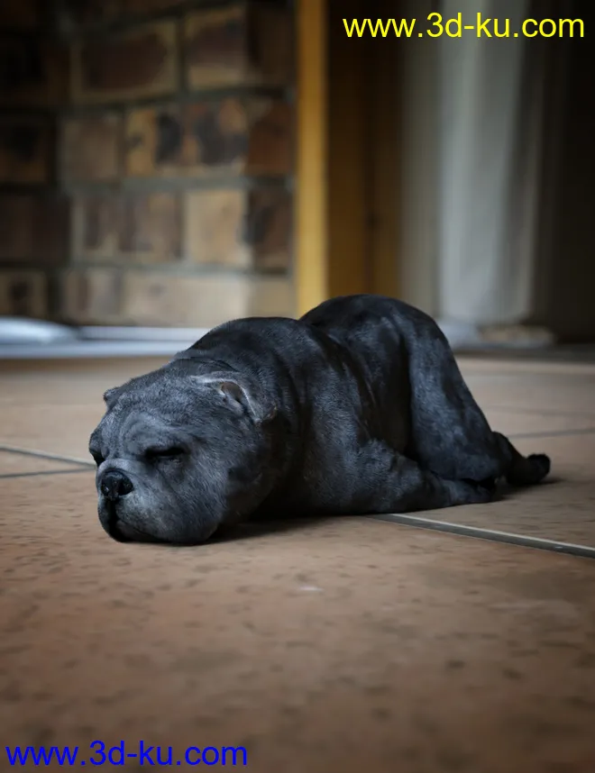 Baxter the English Bulldog for Dog 8模型的图片9