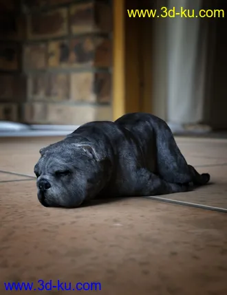 3D打印模型Baxter the English Bulldog for Dog 8的图片