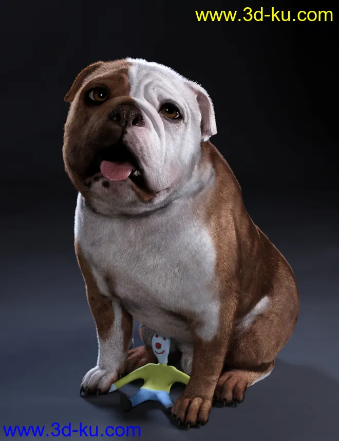 Baxter the English Bulldog for Dog 8模型的图片10