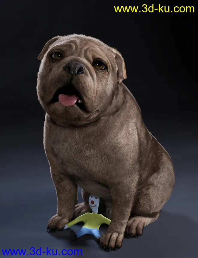 Baxter the English Bulldog for Dog 8模型的图片11