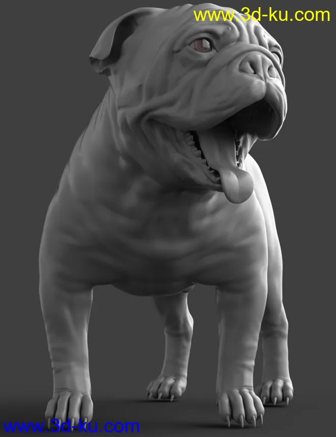 Baxter the English Bulldog for Dog 8模型的图片12