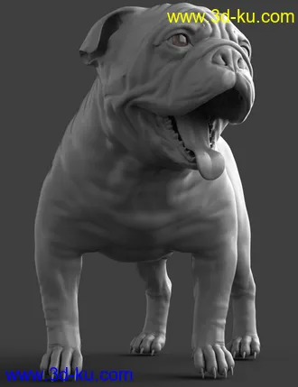 3D打印模型Baxter the English Bulldog for Dog 8的图片