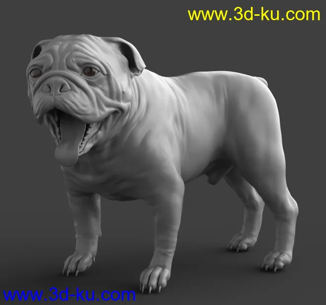 Baxter the English Bulldog for Dog 8模型的图片13