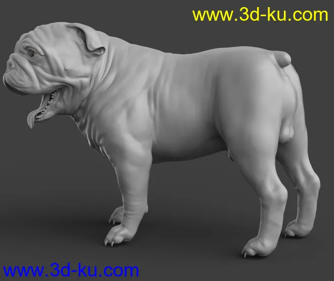 Baxter the English Bulldog for Dog 8模型的图片14
