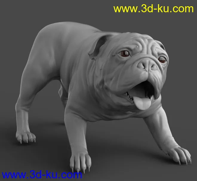 Baxter the English Bulldog for Dog 8模型的图片15