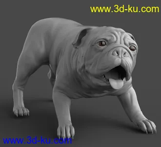 3D打印模型Baxter the English Bulldog for Dog 8的图片