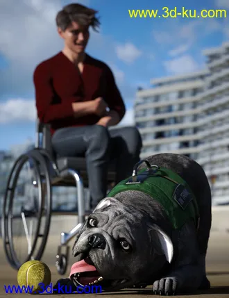 3D打印模型Baxter the English Bulldog for Dog 8的图片