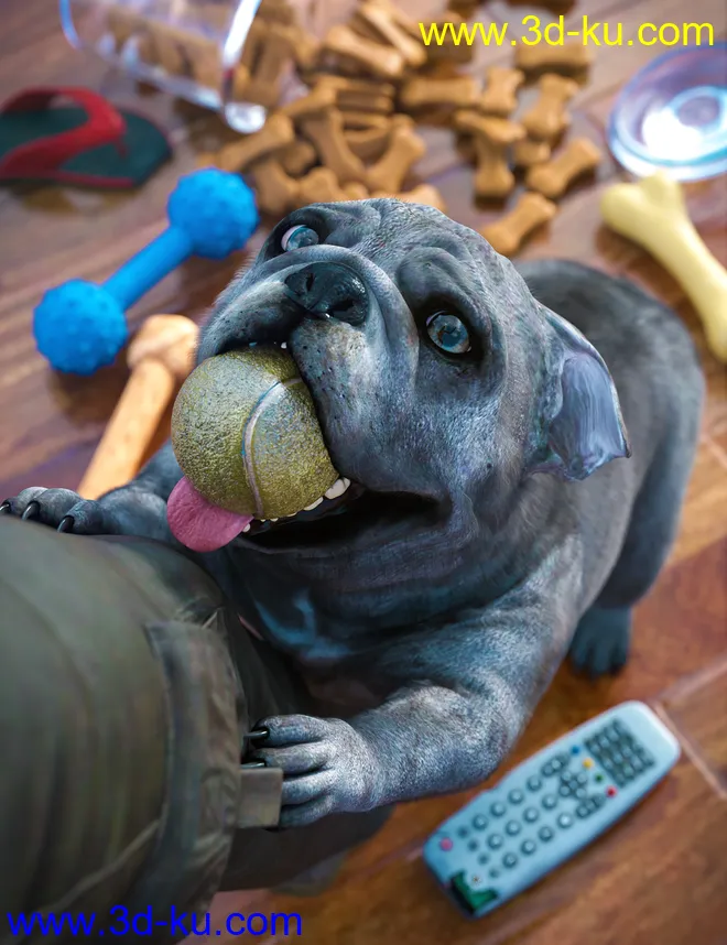 Baxter the English Bulldog for Dog 8模型的图片17