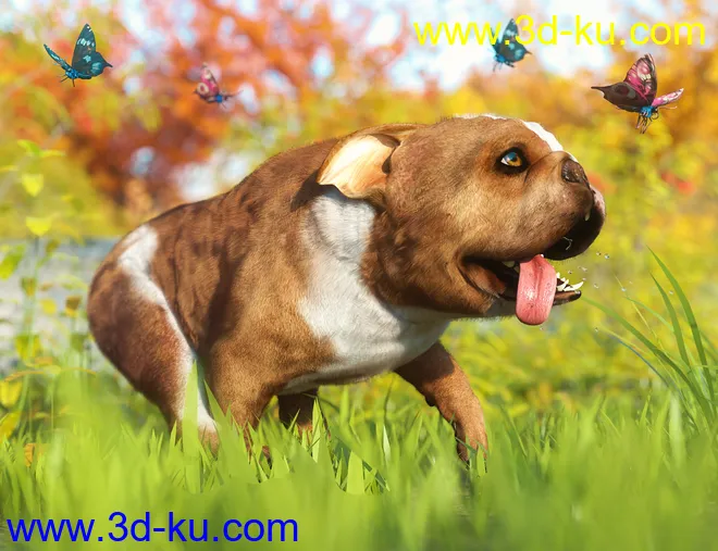 Baxter the English Bulldog for Dog 8模型的图片18
