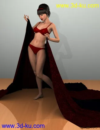 3D打印模型Beyond Boudoir Shader Presets for DAZ Studio的图片