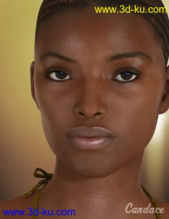 3D打印模型Candace for Stephanie 5的图片