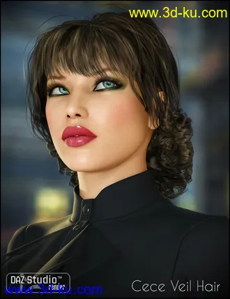 3D打印模型CeCe Veil Hair的图片