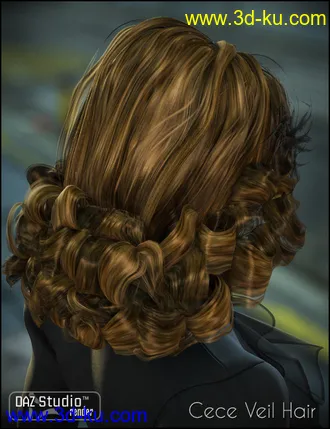 3D打印模型CeCe Veil Hair的图片