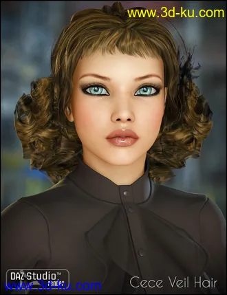 3D打印模型CeCe Veil Hair的图片
