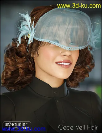 3D打印模型CeCe Veil Hair的图片