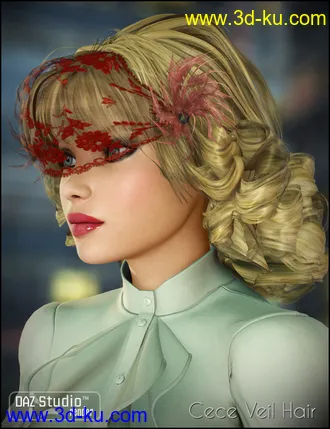 3D打印模型CeCe Veil Hair的图片