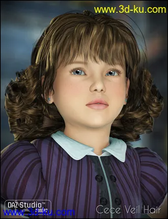 3D打印模型CeCe Veil Hair的图片