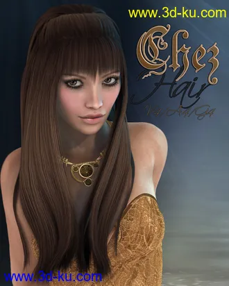 3D打印模型Chez Hair V4-A4-G4的图片