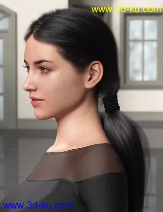 3D打印模型Chunky Pigtails for Genesis 3 and 8 Females的图片