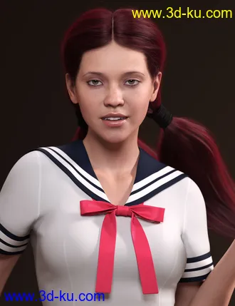 3D打印模型Chunky Pigtails for Genesis 3 and 8 Females的图片