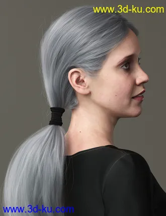 3D打印模型Chunky Pigtails for Genesis 3 and 8 Females的图片
