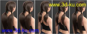3D打印模型Chunky Pigtails for Genesis 3 and 8 Females的图片
