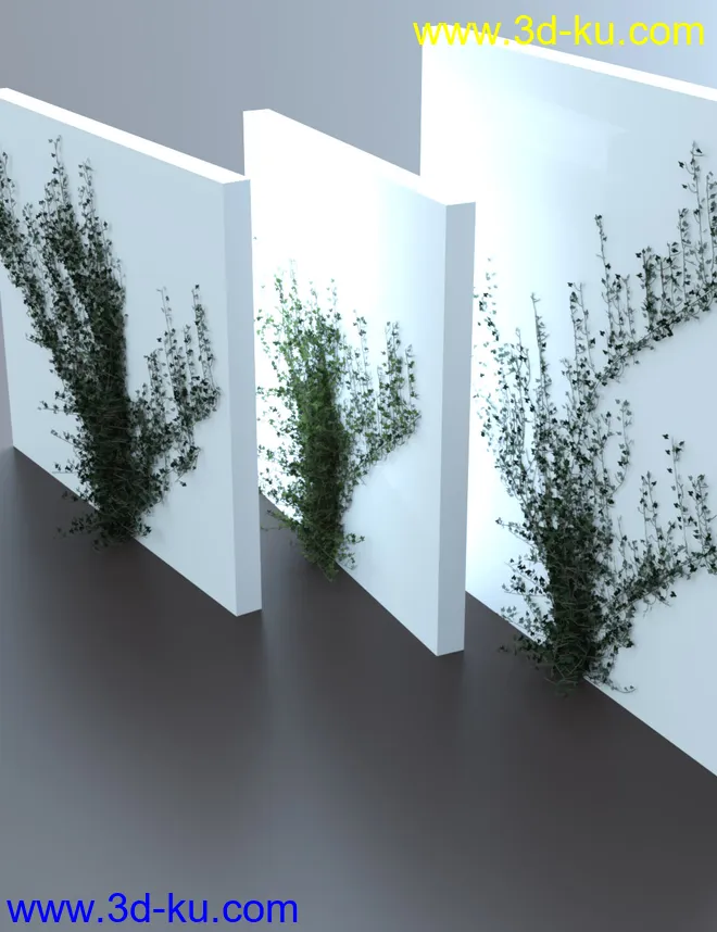 Climbing Vines - Ivy Plants模型的图片4