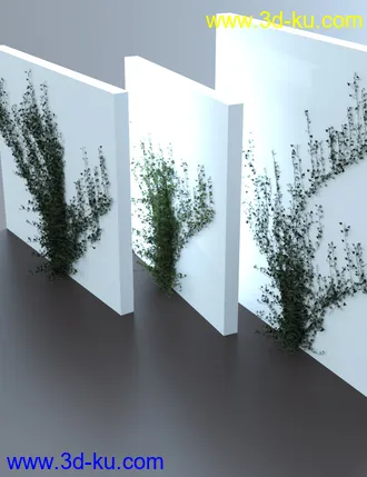 3D打印模型Climbing Vines - Ivy Plants的图片