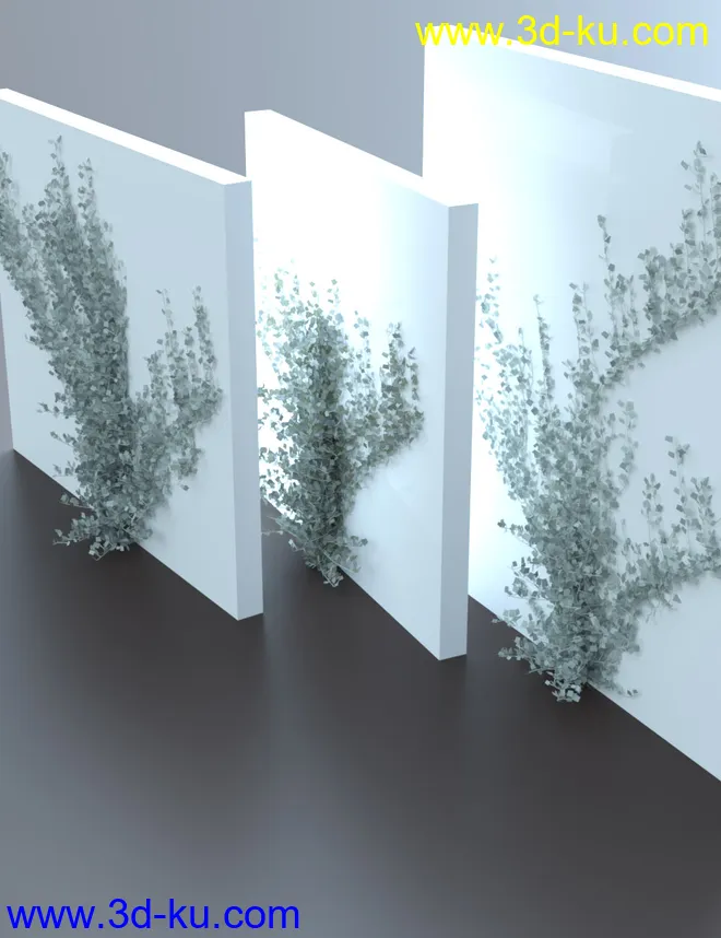 Climbing Vines - Ivy Plants模型的图片5