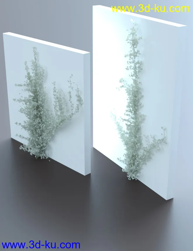 Climbing Vines - Ivy Plants模型的图片7